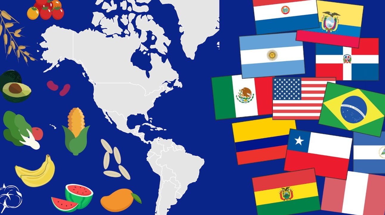 Colombia ante la crisis de aranceles: oportunidades de diversificación y el camino hacia una potencia económica