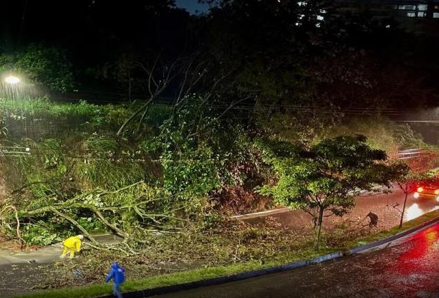 🌩️ Una noche de terror en Ibagué: Tormenta eléctrica causa caos y múltiples emergencias