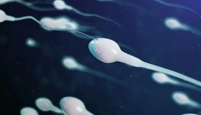 La salud sexual masculina: el gran tabú que Colombia debe enfrentar sin prejuicio