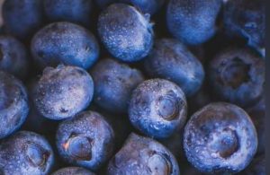 el arandano la asombrosa fruta que reduce el colesterol Imagen Cortesia © iStock.