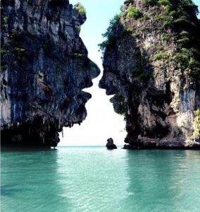 10 curiosidades de la naturaleza Imagen Cortesía Pinterest