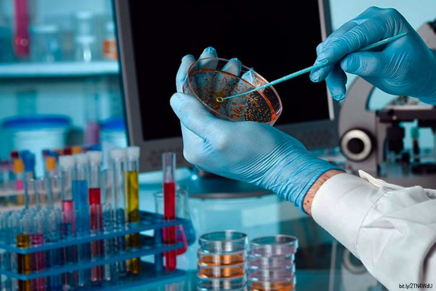 Las posibles curas contra el cáncer Imagen Cortesia Gaceta Unam